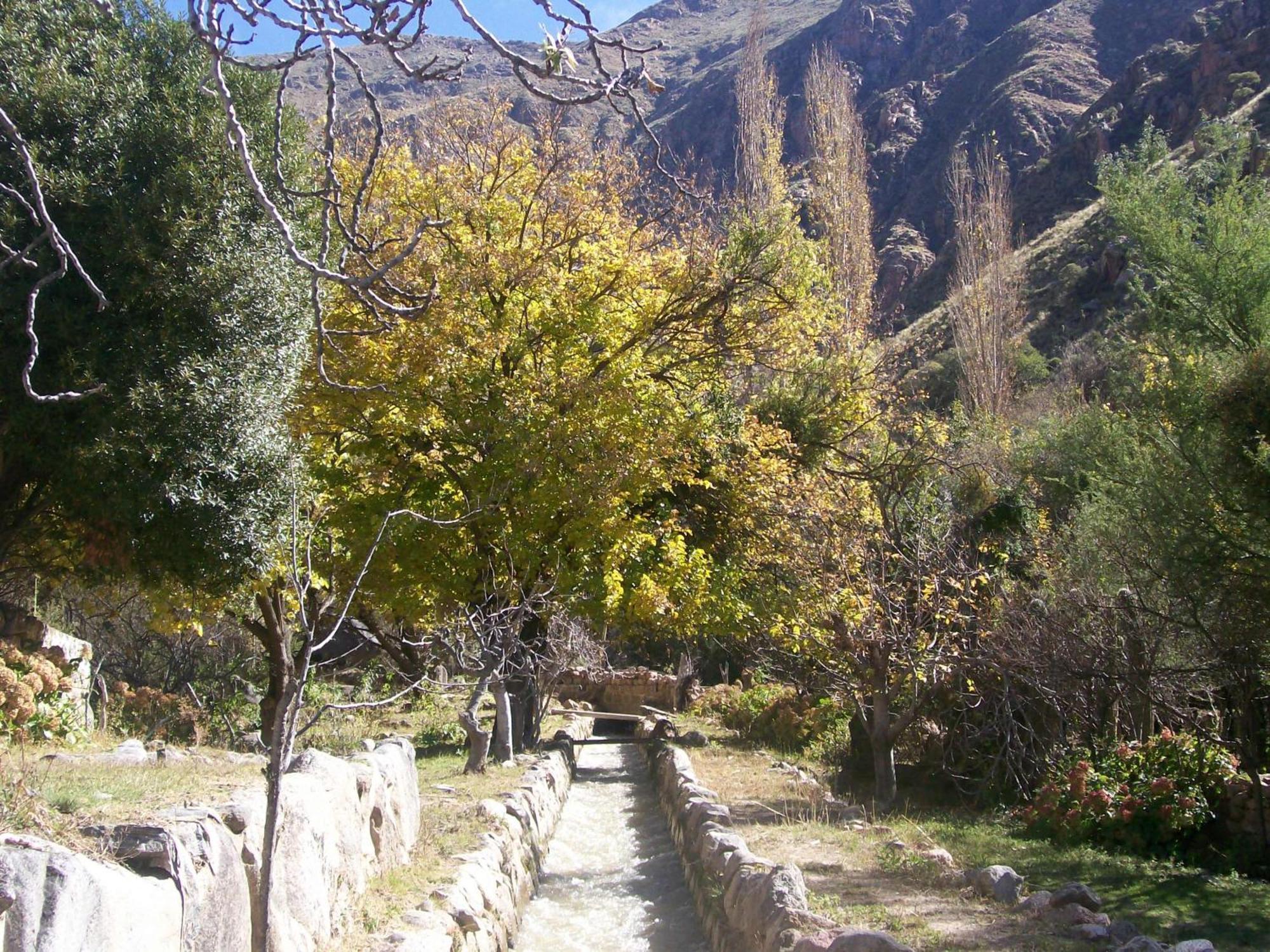 Vieja Posada Hotel Historico Cafayate Eksteriør billede